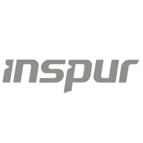 Inspur