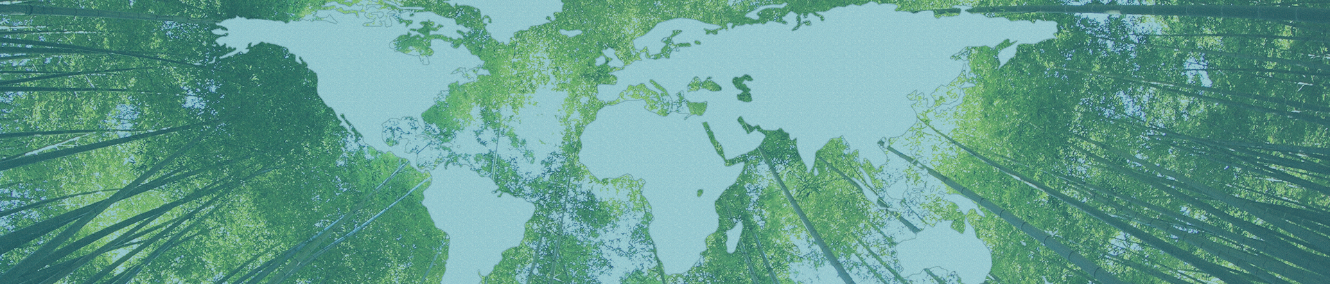 Sustainability